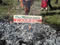Please Come And Support Byron Shire Council’s Stand Against Woolworths!