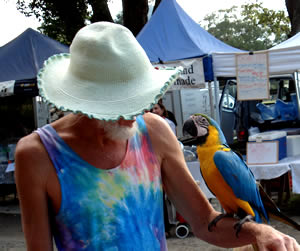 The Buzz Of The Mullumbimby Farmers Market The Buzz Of The Mullumbimby Farmers Market
